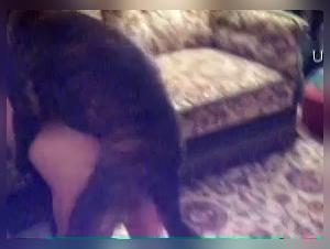 Taboo rivela: l'amore selvaggio di Anna per il suo cane