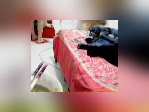 An Extreme Bestiality Experience