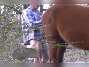 Zoophilia video: Man and mare