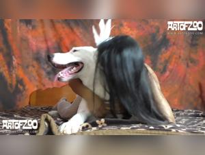 Il mondo degli appassionati: Tink ha il suo primo cane...