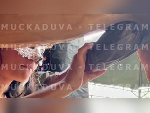 tickzoo and artofzoo