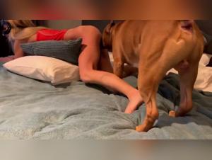 An intense zoophilia video with Sonya