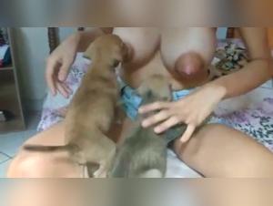 Zoophilia video: extreme and hard