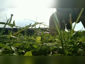 Discover Hardcore and Extreme Dog Sex Videos