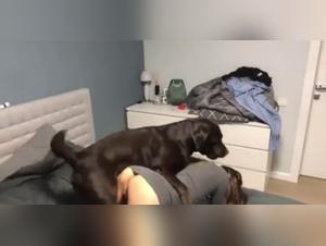 Vidéo de zoophilie: femme et chien
