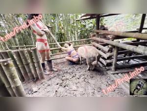 Dog Fucking Archives