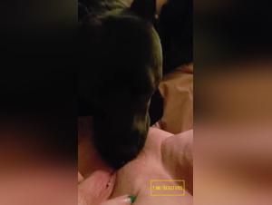 Muschi lecken: Ein verbotenes Katzenspiel