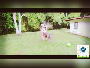 Bestiality and extreme sex in a shocking video