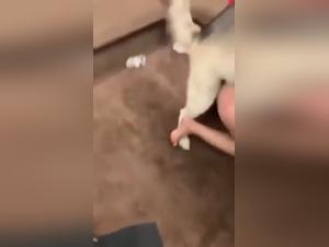 Extreme sexual experience with a dog
