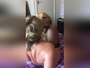 Bestial video: A woman and her faithful canine companion