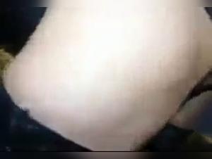 Extreme zoophilia video