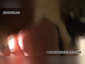 Watch Horses in Action - Sex Videos with Horses