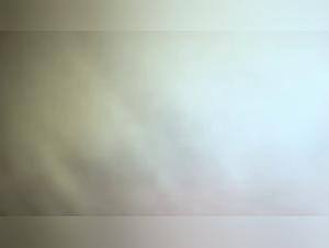 Bestiality Video: A Woman and Her Dog