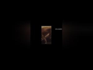 Extreme Sex Scene with a Dog