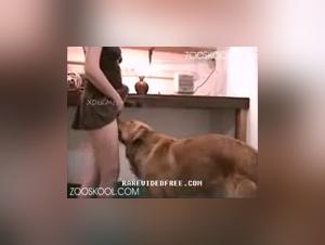 Il cane divora la troia durante una bevanda sodomizzante