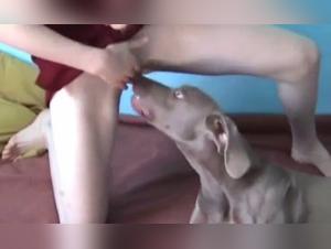 Bestiality Sex Video with a Beautiful Girl and Her Dog