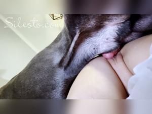 Controverses et realites de l'espece