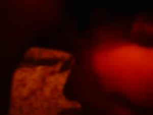 onlyfan bestiality sara