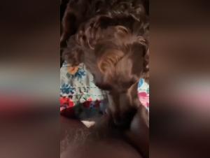 watch now animal porn