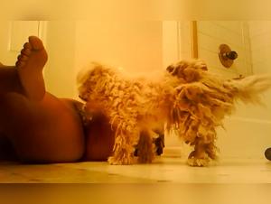 Shocking bestiality video with a black woman and her dog