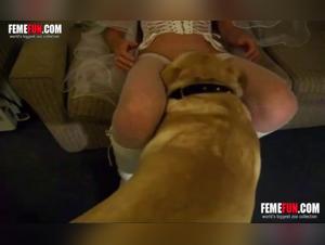 Pornzoo and Depiction