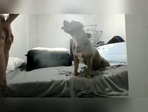 A woman who fucks her dog