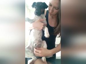 Video of Sex with a Dog