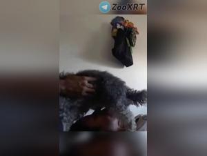 Fick und ihr Hund, wildes Tiervergnugen