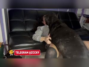 Garganta profunda, doble penetración: Allysa bajo el control de su perro