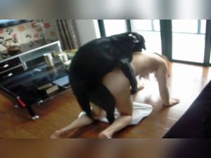 Zoophilia Video: Shocking and Exciting Images