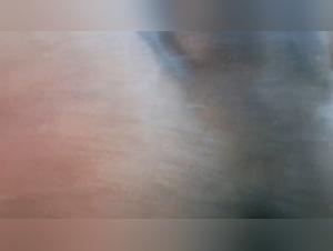 tickzoo: unflinching glimpse into the taboo