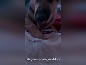 The attraction between the girl and the dog: a crazy love