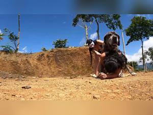 Experience the Irresistible Attraction: Dog and Woman in a Wild Orgasm