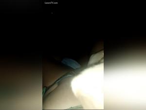 animal porn connections explored