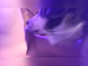 Bestiality sex experience with a dog