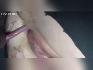 Tierherrschaft und roher Genuss, HD-Video