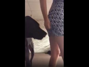 Experience bestiality in an exclusive video