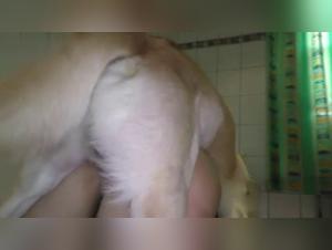 Bestiality sex videos: discover the extreme