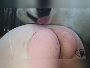 The most beautiful whores suck and abandon themselves to their animal desires