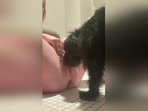 Les plus grosses bestialites avec des chats et des chiens