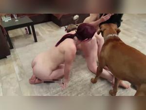 Discover the Pleasures of Bestiality with this Unforgettable Trio