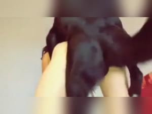 The Slut who had an intimate relationship with her dog