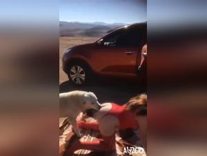 Old man wife fuck with dog porn