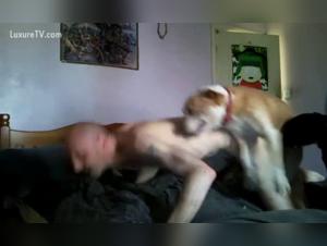 Scène de zoophilie choquante avec une femme et son chien