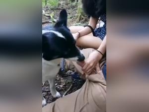 Esplorazione grave del desiderio canino, esplora l'estrema