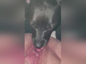 porn animal cums woman