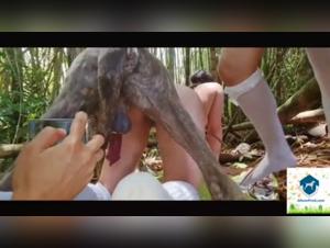 Discover the pleasures of bestiality with Alison Prod