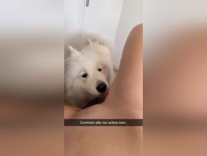 Exclusive Zoophilia Video: Extreme Sex with Dog