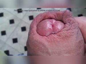 Extreme Pleasure with a Dog