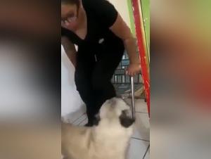 Dog Cumming & Horsecock Secrets